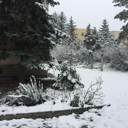 Next To University Debreţin Exterior foto