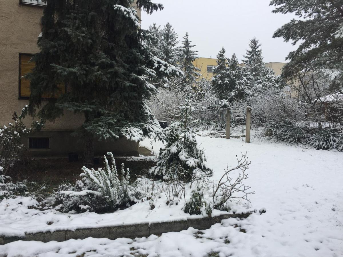 Next To University Debreţin Exterior foto